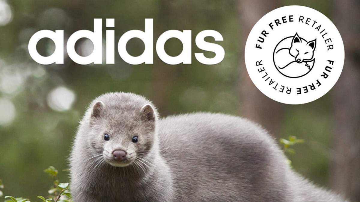 Adidas відмовився від використання натурального хутра Adidas відмовився від використання натурального хутра
