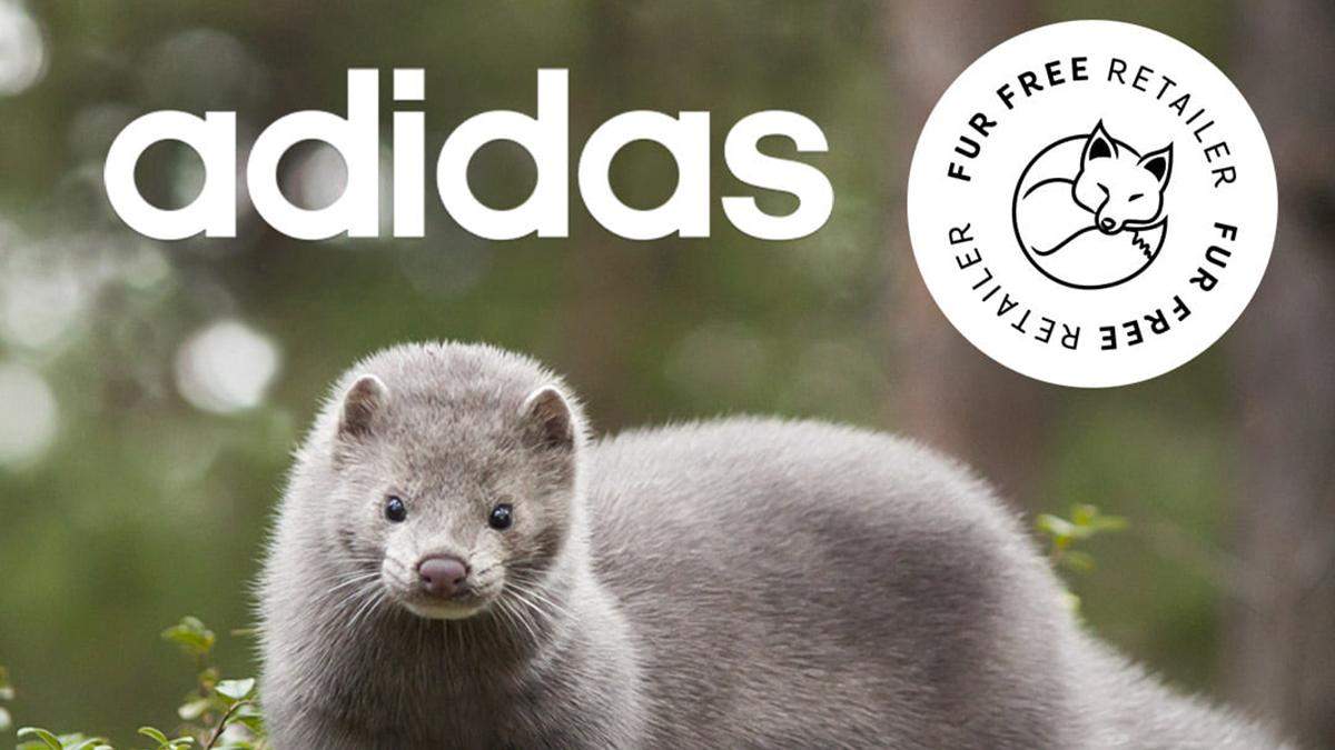 Adidas отказался от использования натурального меха Adidas отказался от использования натурального меха